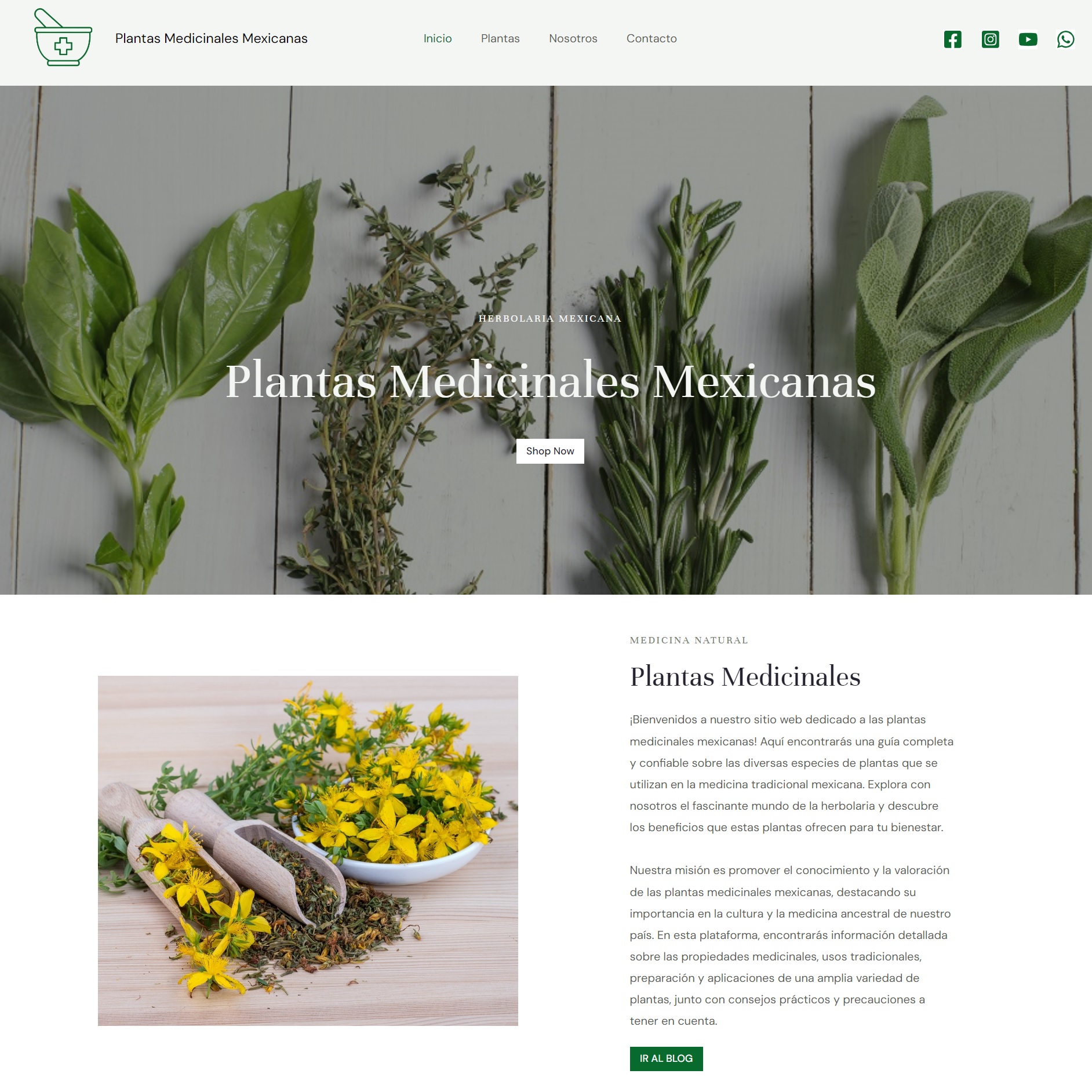 Plantas Medicinales Mexicanas página web